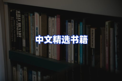 中文精选书籍